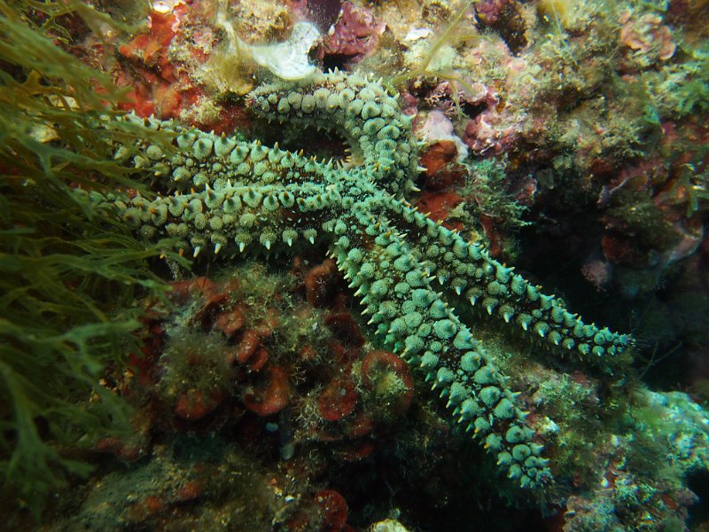 2013-06-09 11-32-09 Mary.JPG